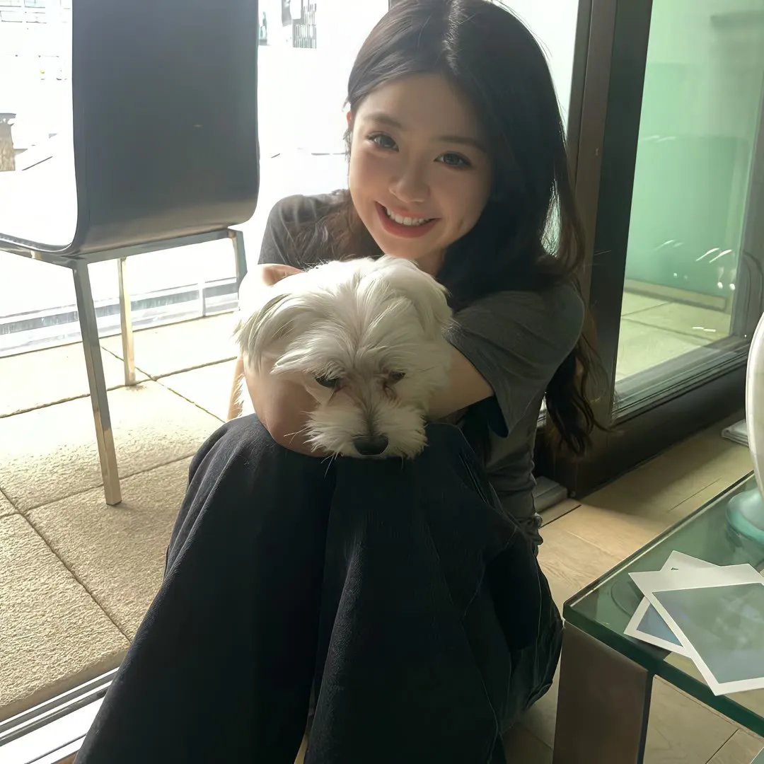 雪原孤军在线观看海报